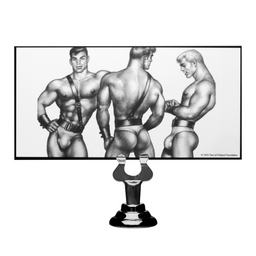 Xr brands Buttplug (848518018540)