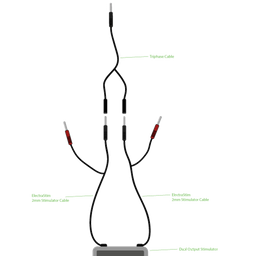 Electrastim Driefasige Combi-kabel (609224032394)