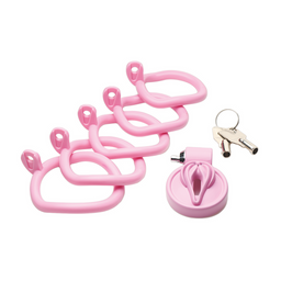 Xr brands Pussification - Vulva Kaste - Roze (848518056641)