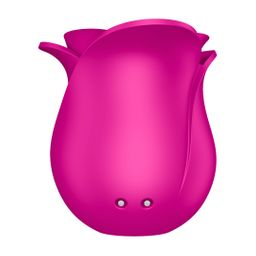 Satisfyer Pro 2 - Modern Blossom - Air Pulse Vibrator - Modern Pink (4061504065861)