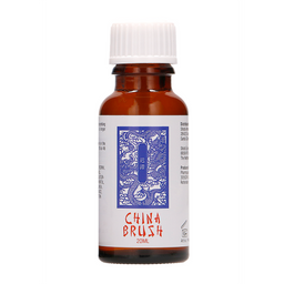 Pharmquests by shots China Brush - Delay Serum - 20 ml (8714273787194)