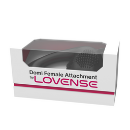 Lovense Vrouwelijke Opzetstuk voor Domi Wand Massager - Zwart (728360599568)