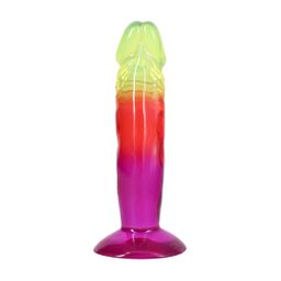 Doc johnson Classic Dong - 6.5 / 16,5 cm - Rainbow (782421106249)