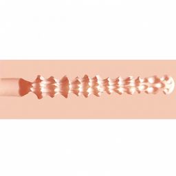 Xkin by shots Pinup Dolls - Ondeugende Huismoeder Mevrouw Cummings - TPE Medium Masturbator - 202g - Vlees (8714273028747)