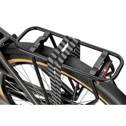 SPARTA C-Grid Energy Dames TiItan Grey Gloss 56cm 2024 (8713568499712)