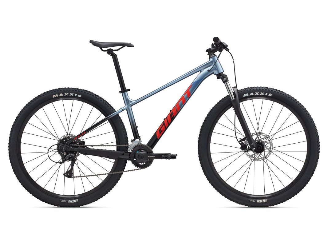 GIANT Talon 29er HEREN Frost Silver L L 2025 (4711291189331)