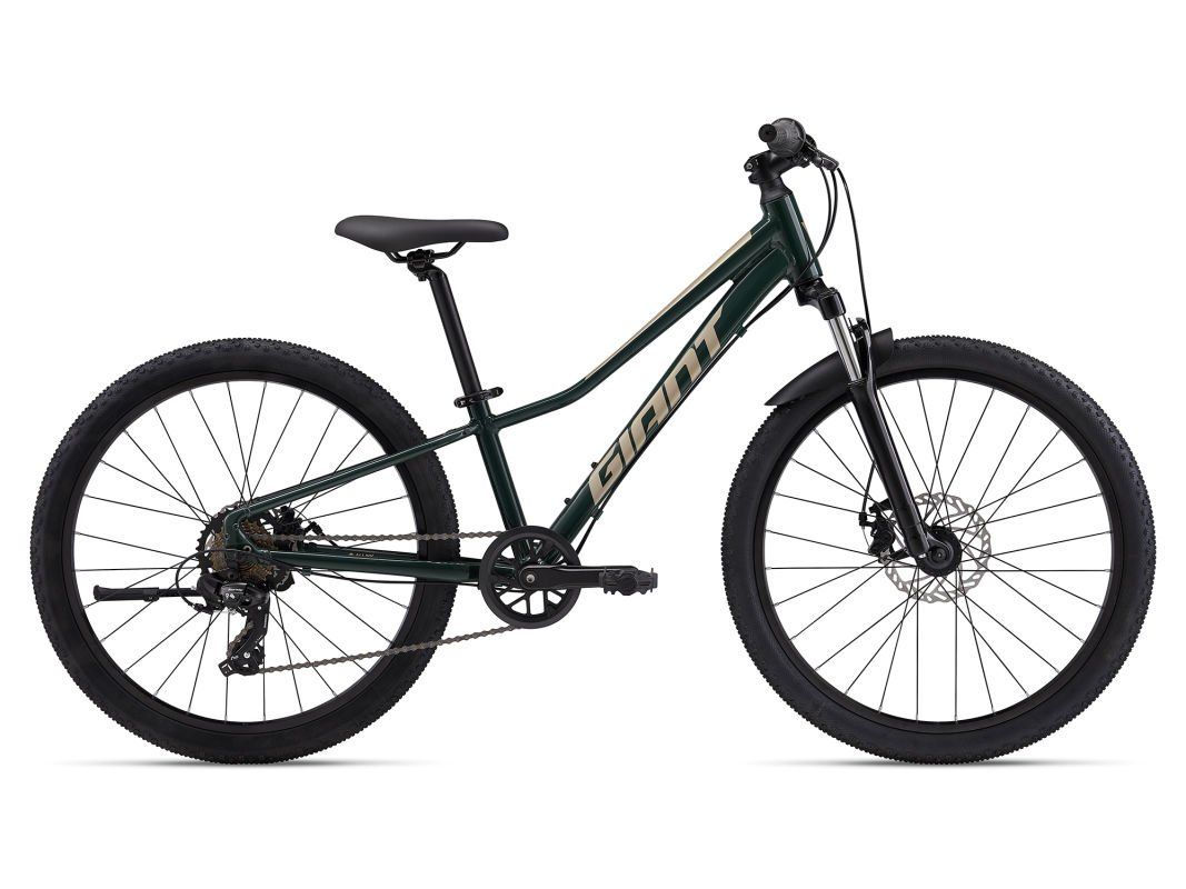 GIANT Talon 24 Trekking Green OSO OSO 2024 (4712878941977)