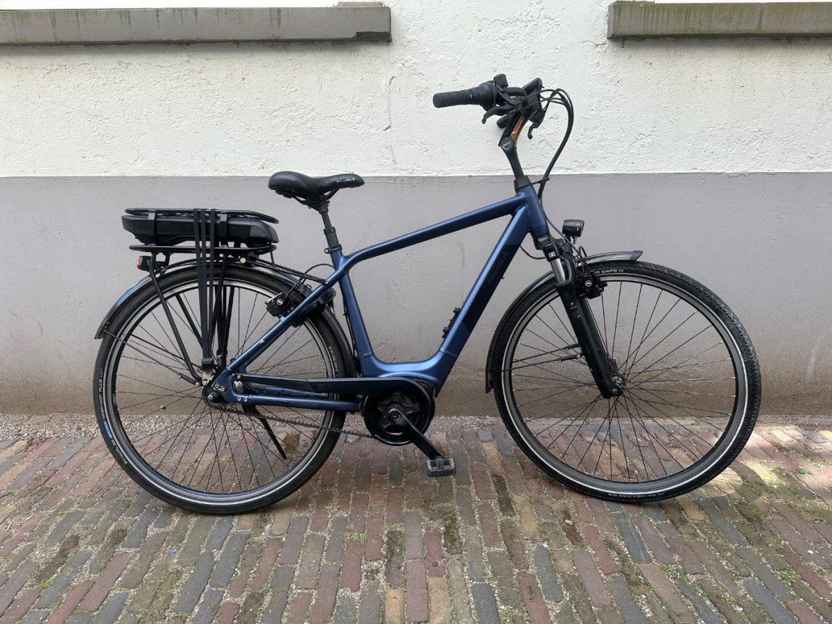 Pegasus Siena E7F Plus Belt Heren Blue Matt 50cm 2022 (F.12098)