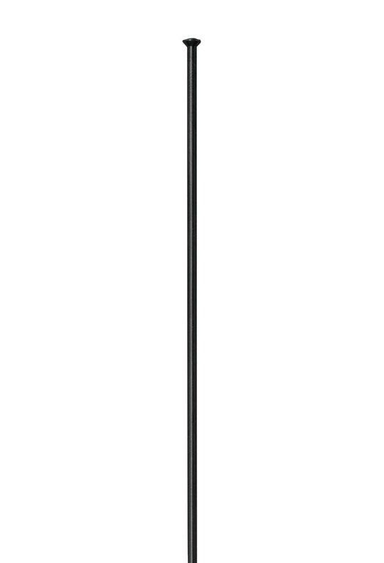 Dt swiss Spaak 14x306 dt competition sp zw ds a 100 (7613052379036)