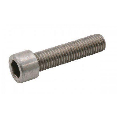 Bofix Bouten rvs inbus m6x30 (8717289115753)