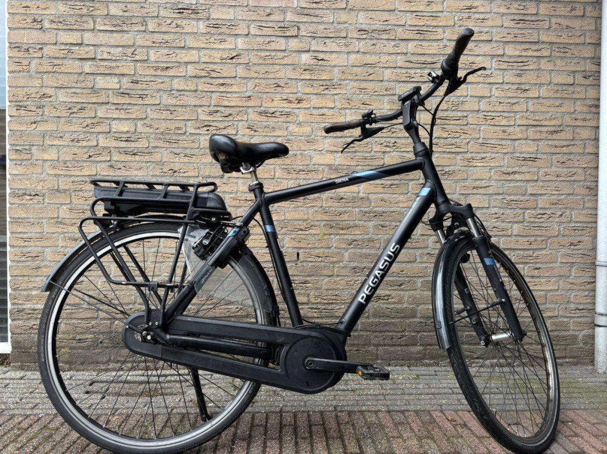 Pegasus Siena E7f Heren zwart 55cm 2018 (3156479632)