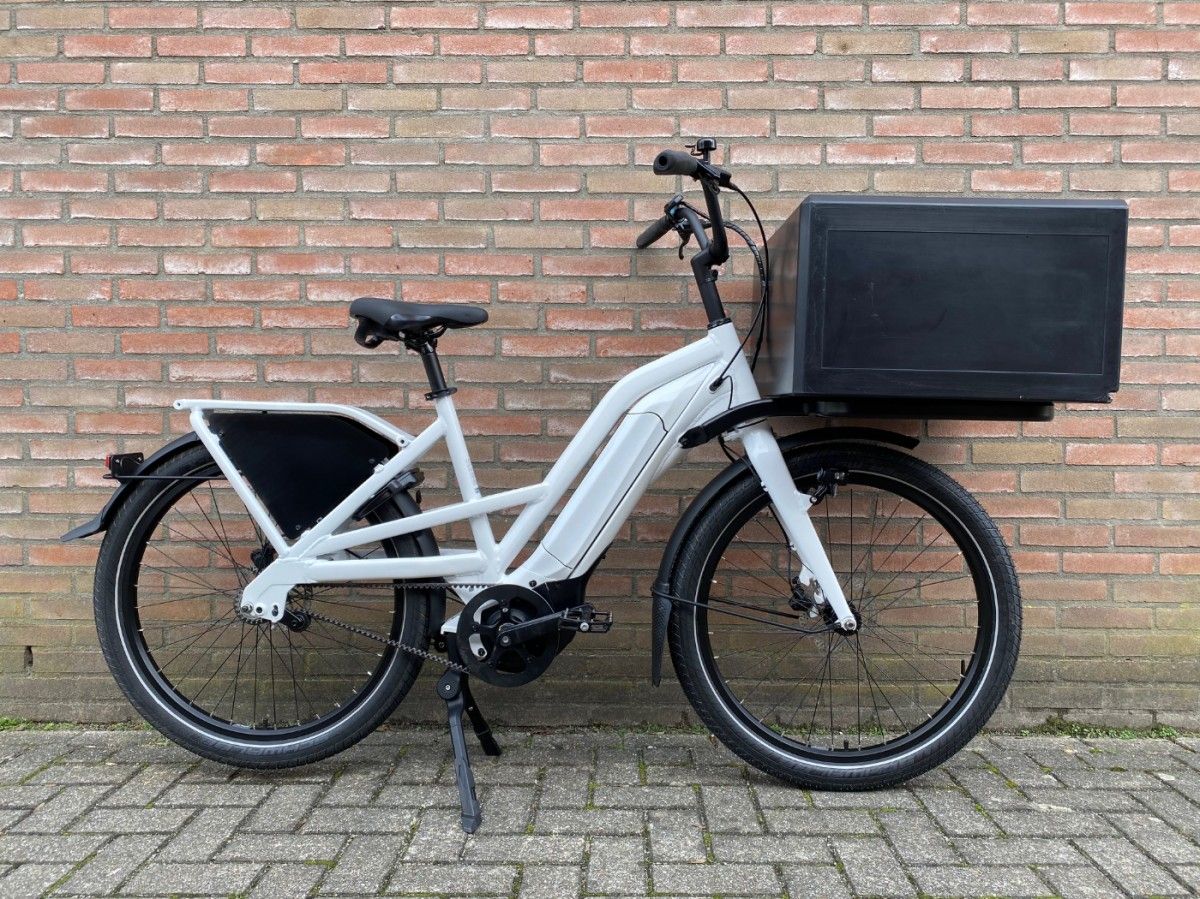 giant delivery bike