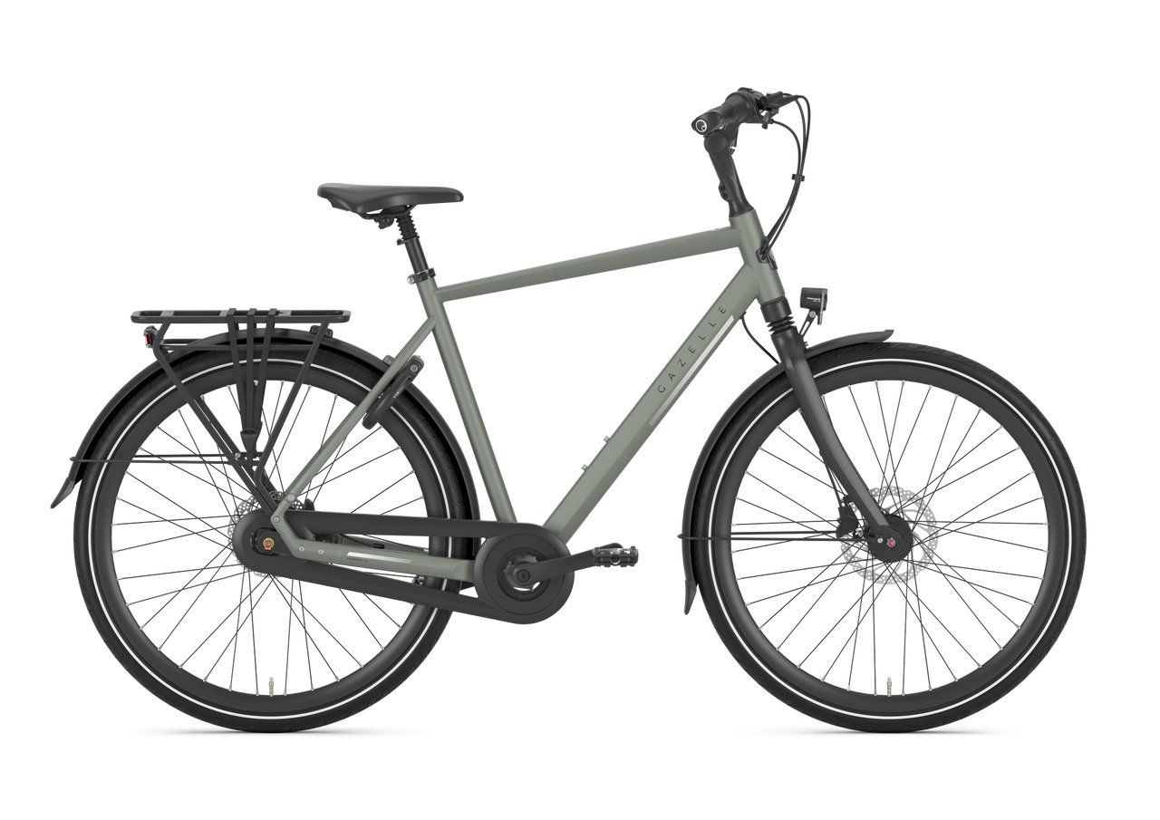 Gazelle CHAMONIX C8 H57 Clay green T8 (Mat) (8717231361351)
