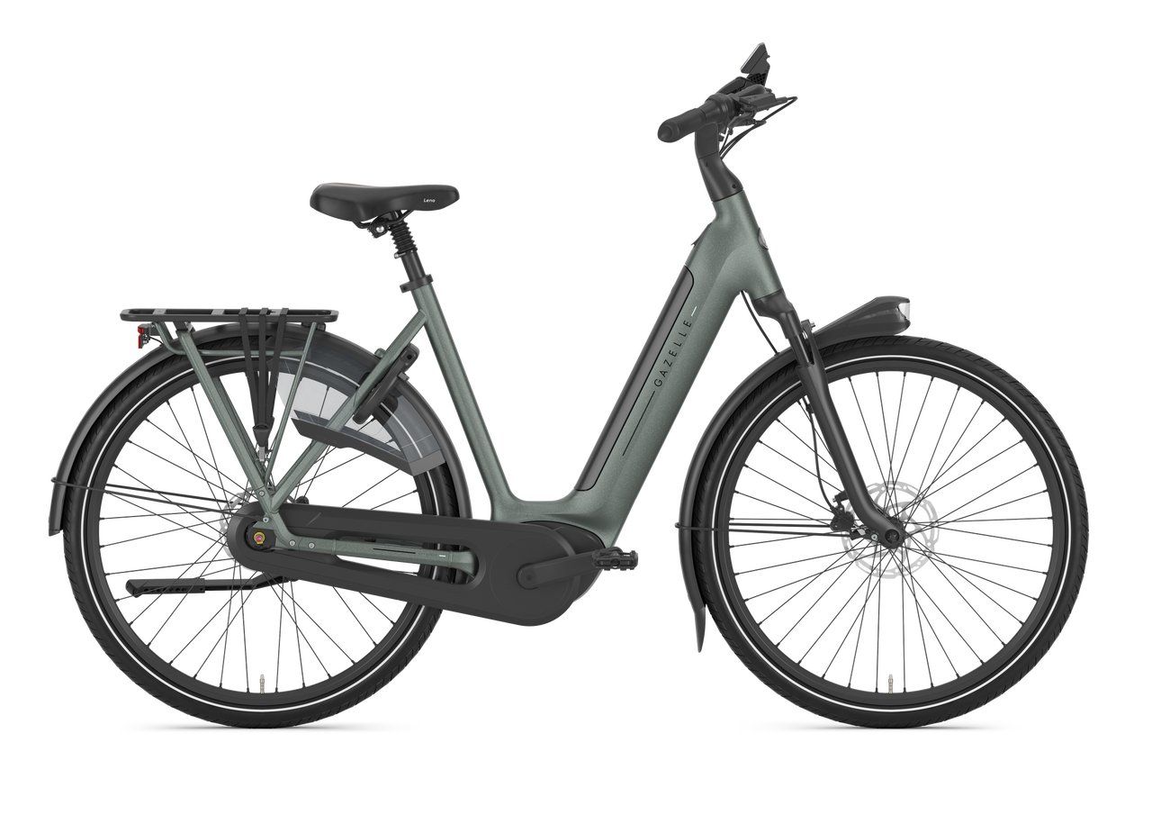Gazelle GRENOBLE 3.0 C8+ HMB L57 Twilight green S8 (Mat) (8717231004609)
