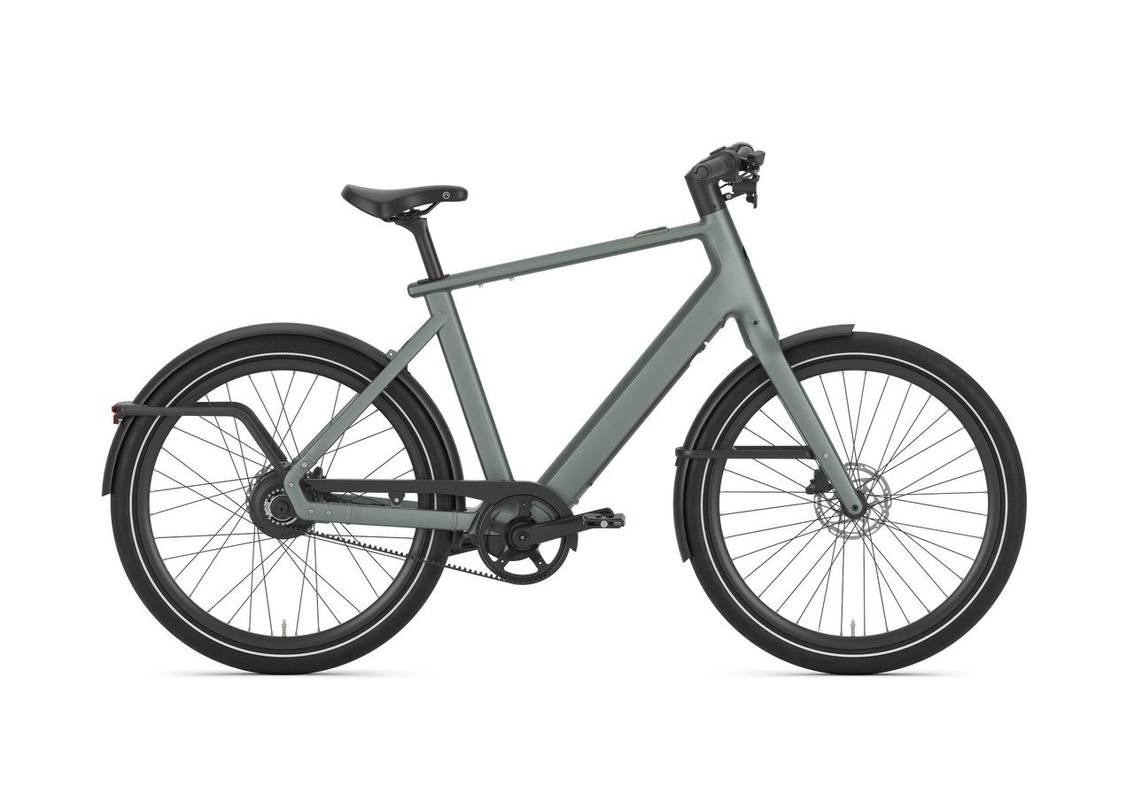 Gazelle CAYO C310 HMF H60 Twilight green SE (Mat) (8717231000656)
