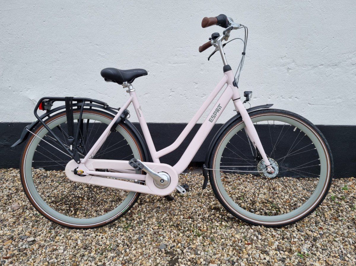 Gazelle Esprit Dames Licht Roze 54cm (F.22438)