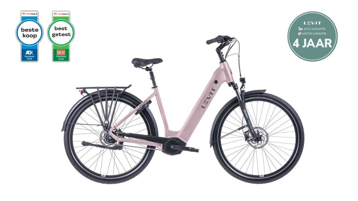 LEVIT BELECO 7 low 45 rose 540 Rose 45cm 2025 (8595174257319)