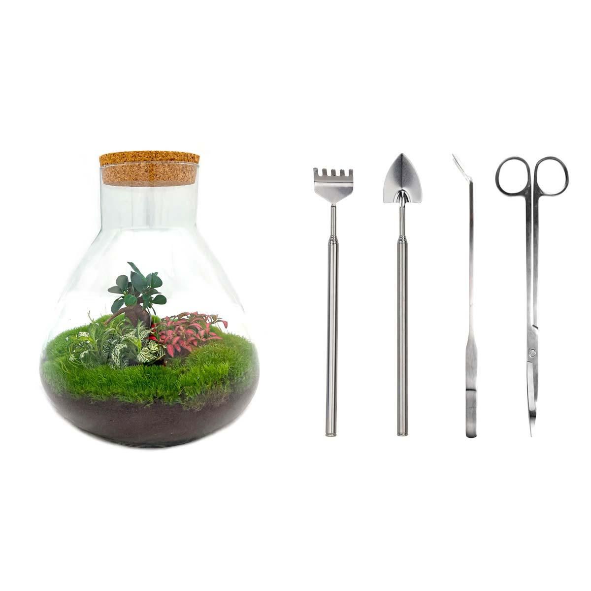 Urbanjngl DIY terrarium - Sam XL Bonsai - ↕ 35 cm - Rake + Shovel + Tweezer + Scissors (8720872020518)