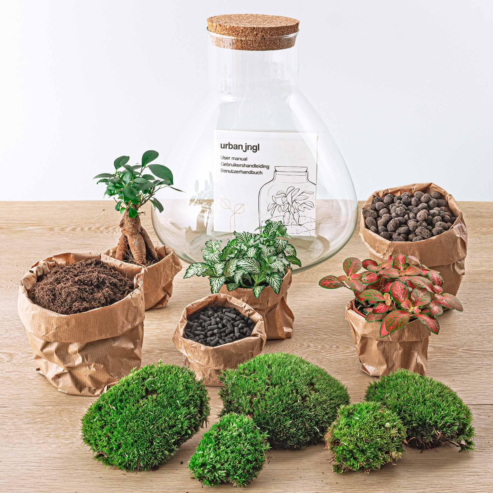 Urbanjngl DIY terrarium - Sam XL Bonsai - ↕ 35 cm - Rake + Shovel + Tweezer + Scissors (8720872020518)