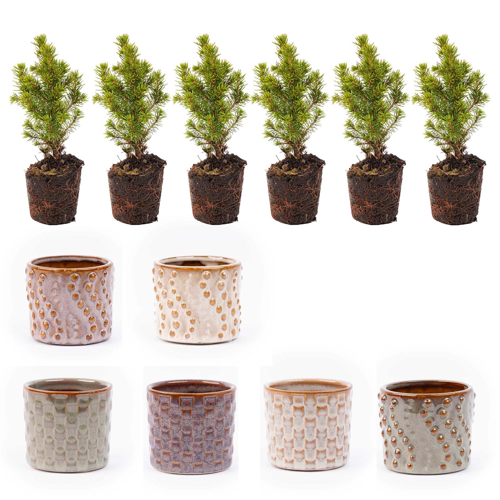 Urbanjngl Mini-kerstboom set 6 - Inclusief pot set Madrid - Draadverlichting met 20 led-lampjes (8720872023427)