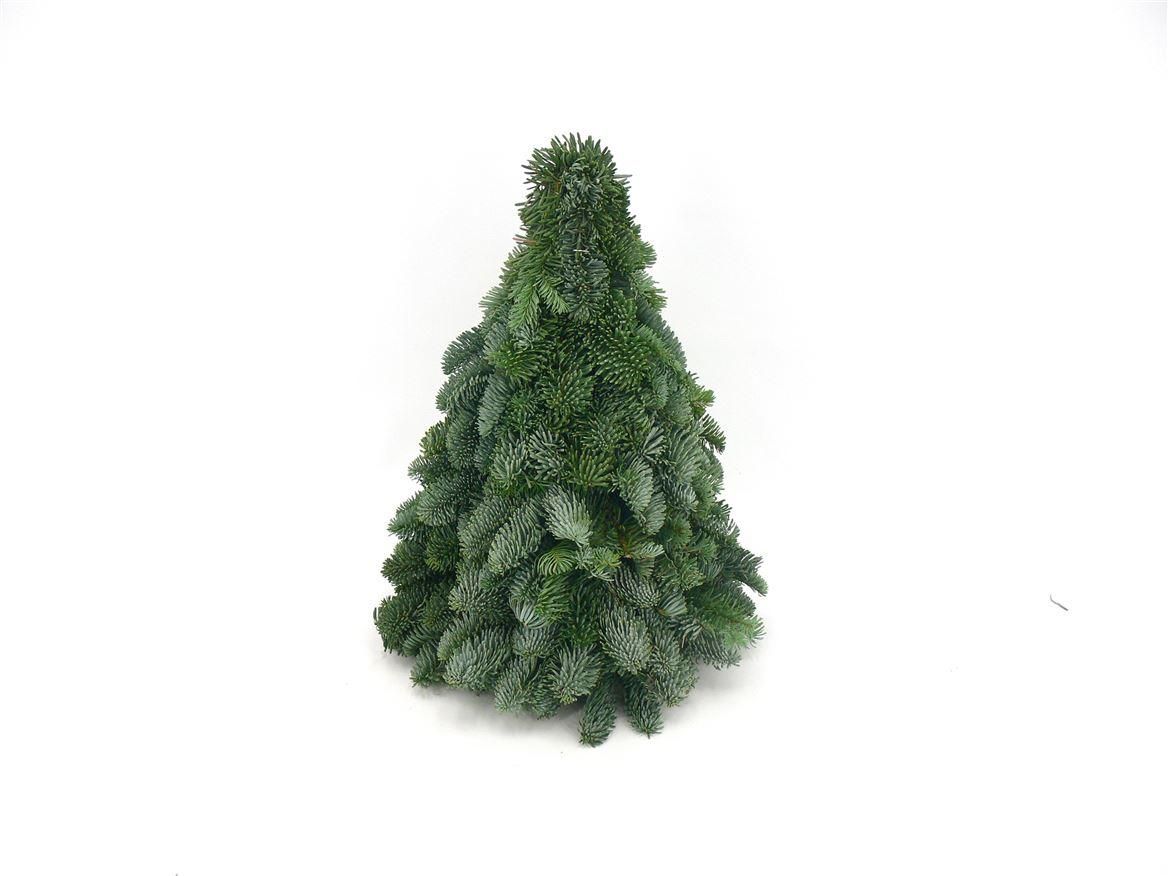 Meergroothandel Nobilis Kerstboom - ↕40cm (43401)