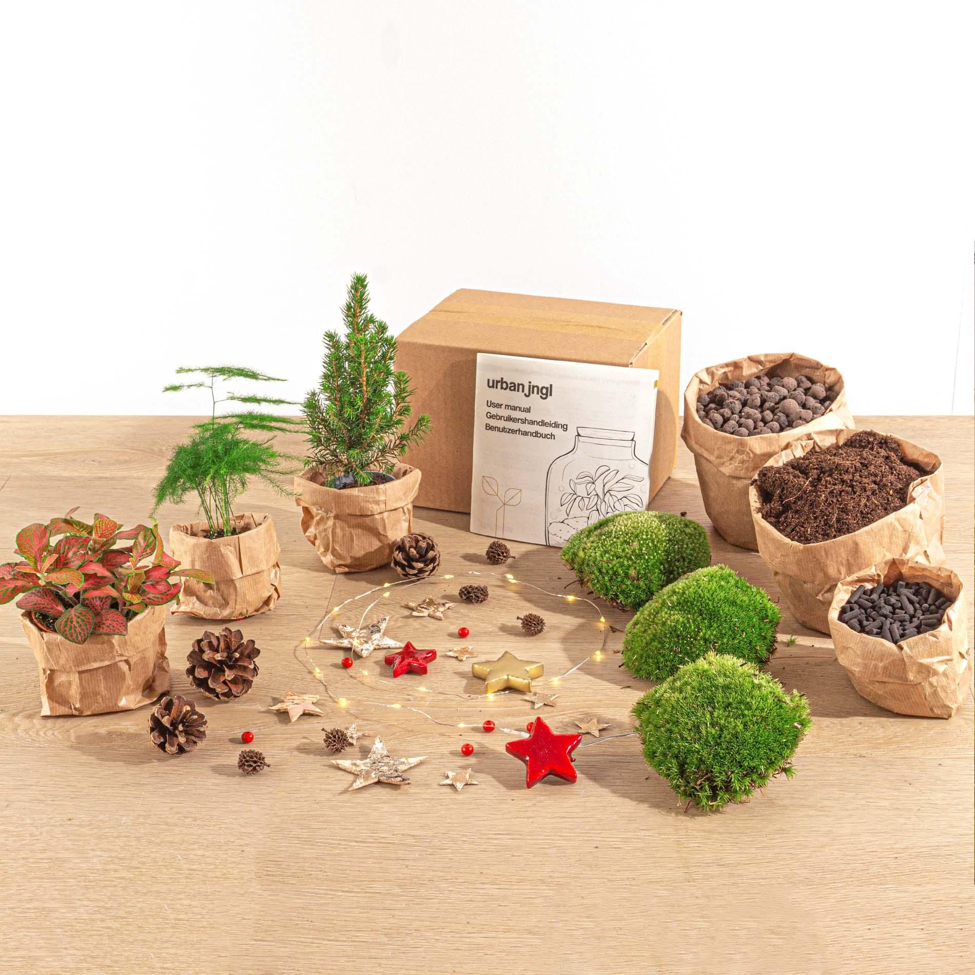 Urbanjngl Planten terrarium pakket - Mini-kerstboom - 3 planten -  Navulling & Startpakket - DIY Christmas (23439)