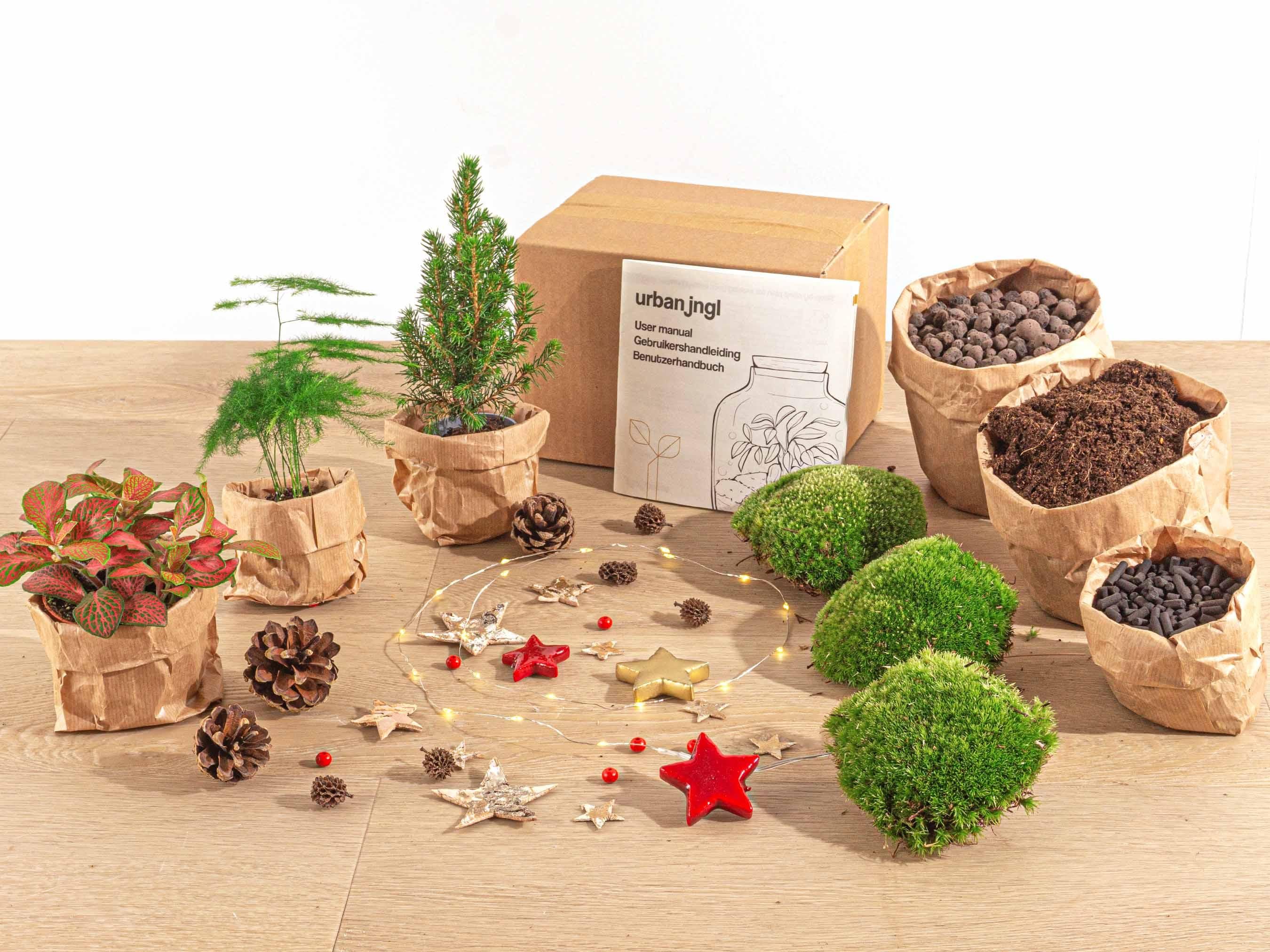 Urbanjngl Planten terrarium pakket - Mini-kerstboom - 3 planten -  Navulling & Startpakket - DIY Christmas (23439)