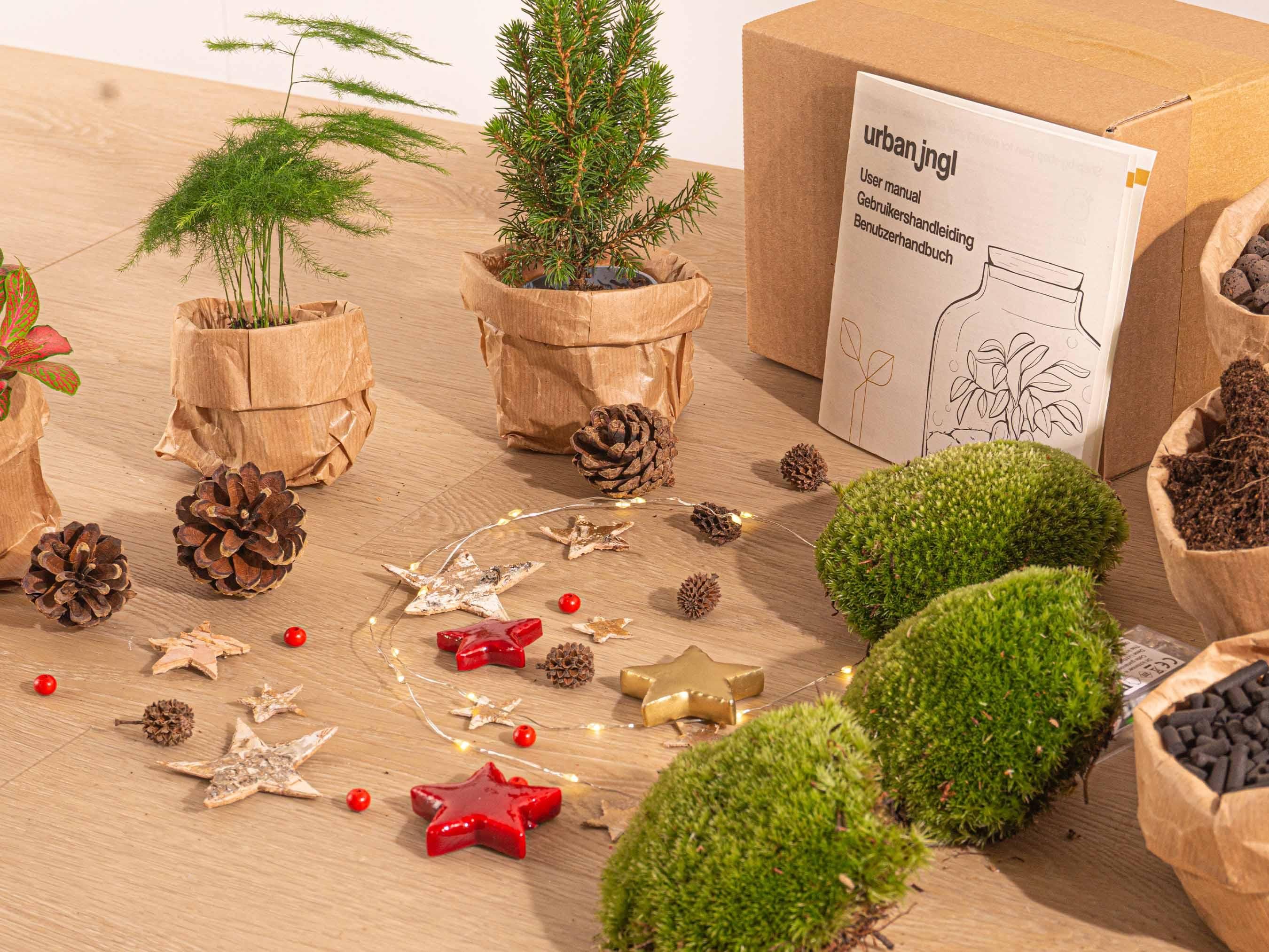 Urbanjngl Planten terrarium pakket - Mini-kerstboom - 3 planten -  Navulling & Startpakket - DIY Christmas (23439)