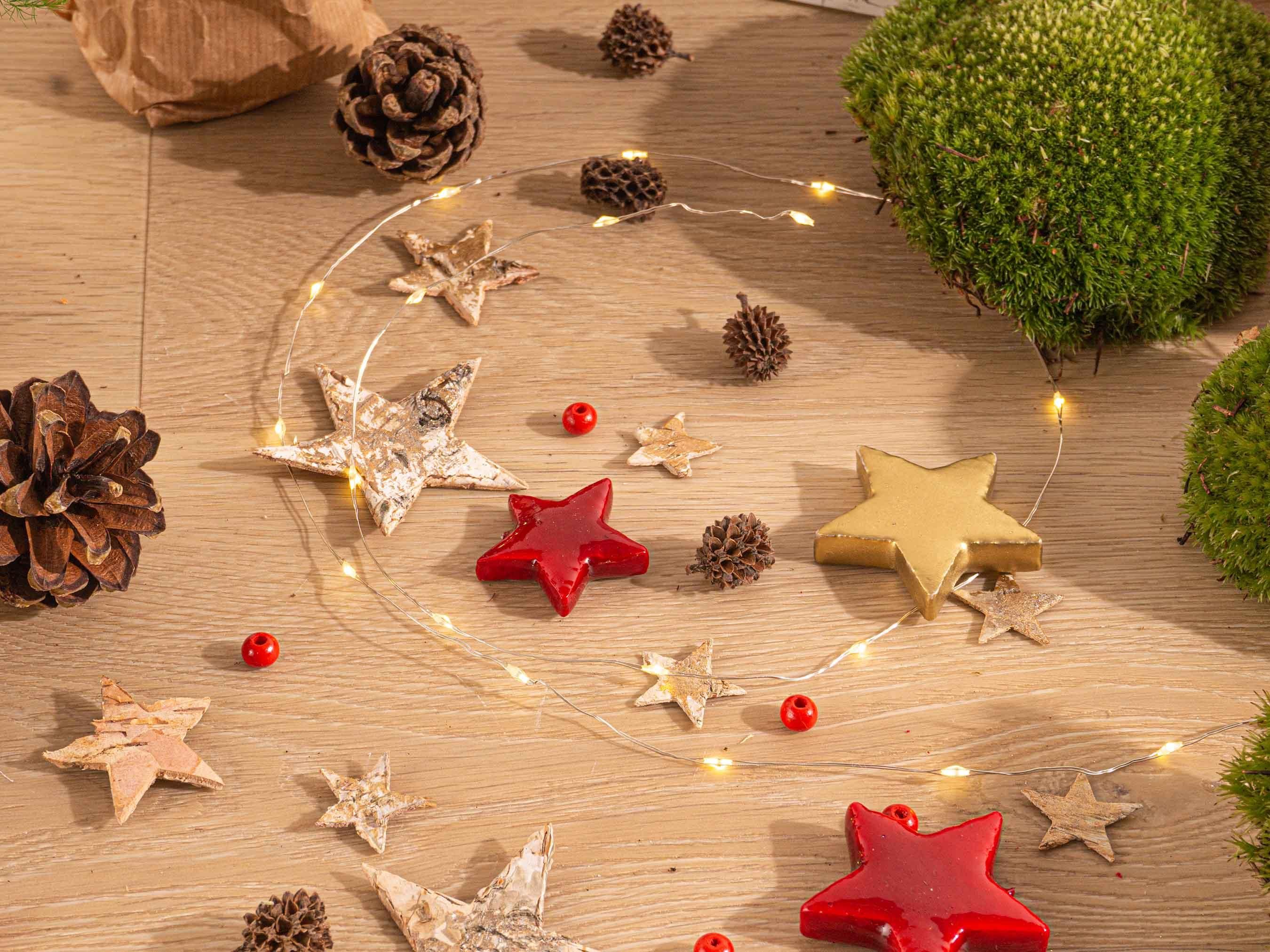 Urbanjngl Planten terrarium pakket - Mini-kerstboom - 3 planten -  Navulling & Startpakket - DIY Christmas (23439)