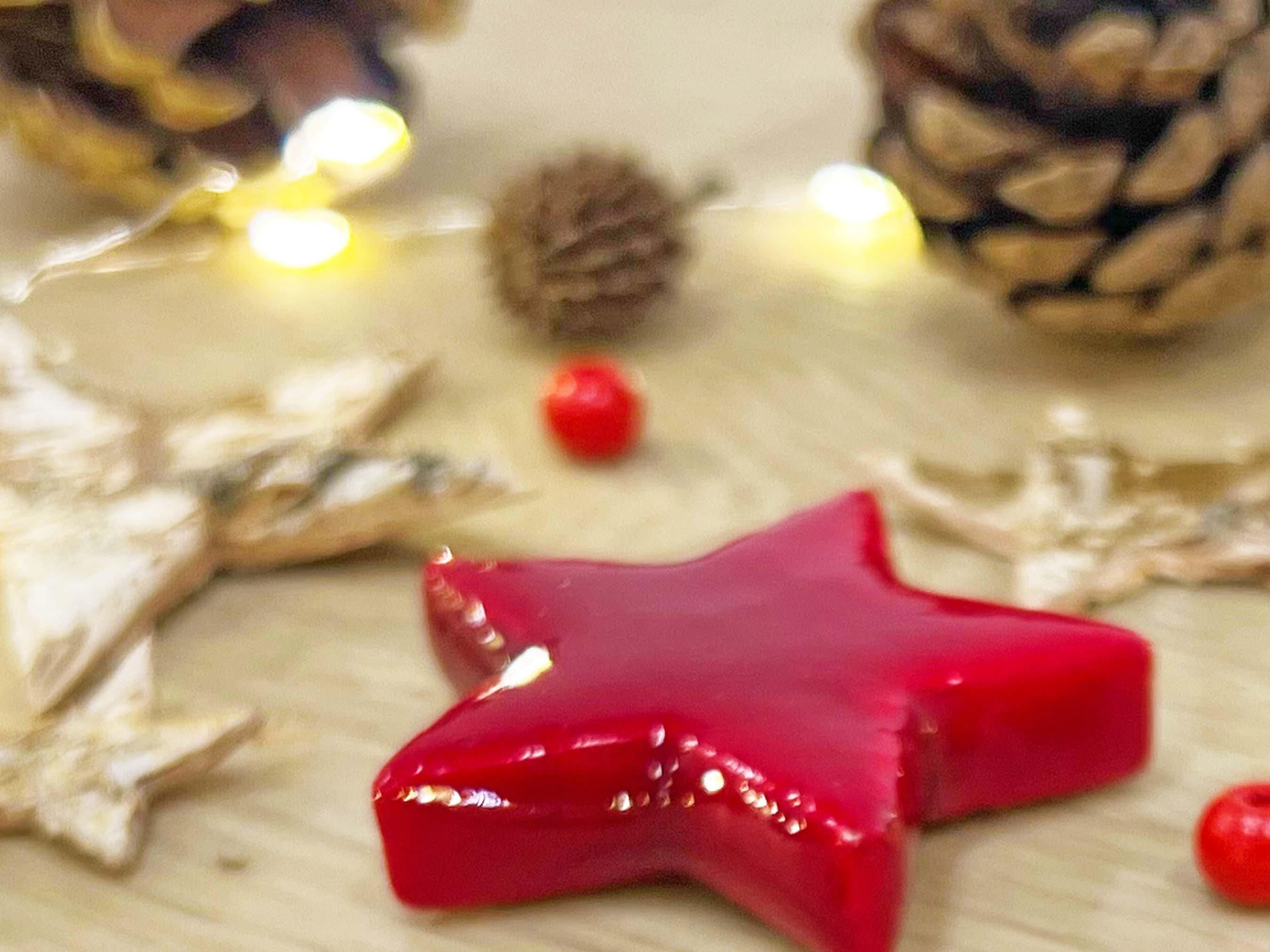 Urbanjngl Christmas Terrarium Decoration Kit! (23437)