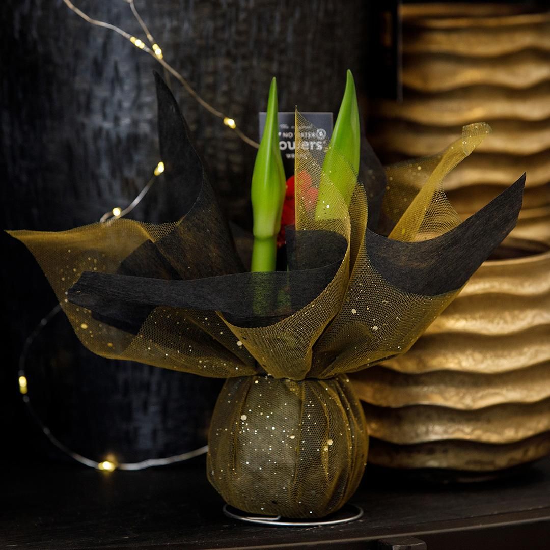 No Water Flowers® (wax amaryllis) | Wrapz - Gold + Red flower (8721225131820)