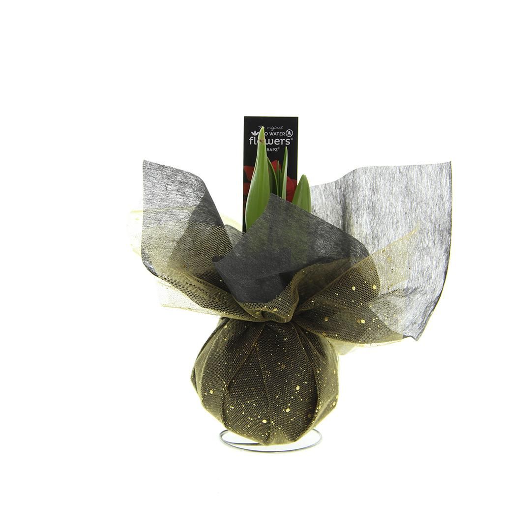 No Water Flowers® (wax amaryllis) | Wrapz - Gold + Red flower (8721225131820)