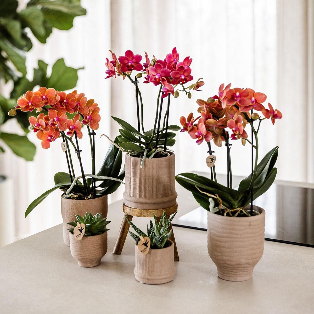 Kolibri Home | Bali sierpot - Sand - Ø9cm (8785279224044)