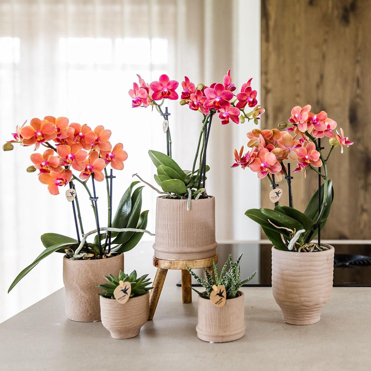 Kolibri Home | Bali sierpot - Sand - Ø9cm (8785279224044)