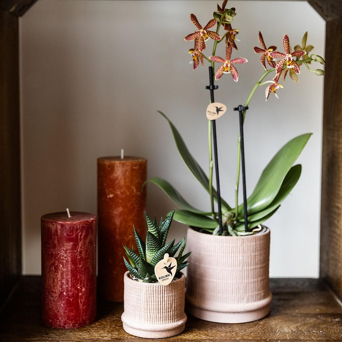 Kolibri Home | Bali sierpot - Sand - Ø9cm (8785279224044)
