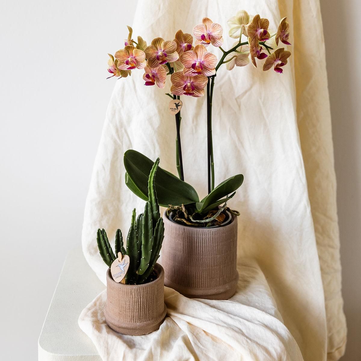 Kolibri Home | Bali sierpot - Sand - Ø9cm (8785279224044)