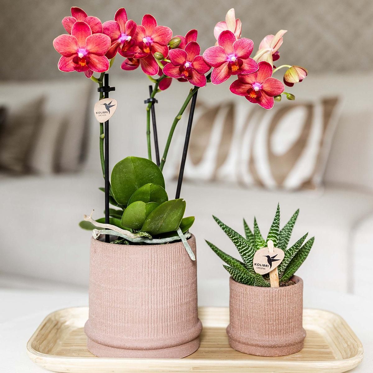 Kolibri Home | Bali sierpot - Sand - Ø9cm (8785279224044)