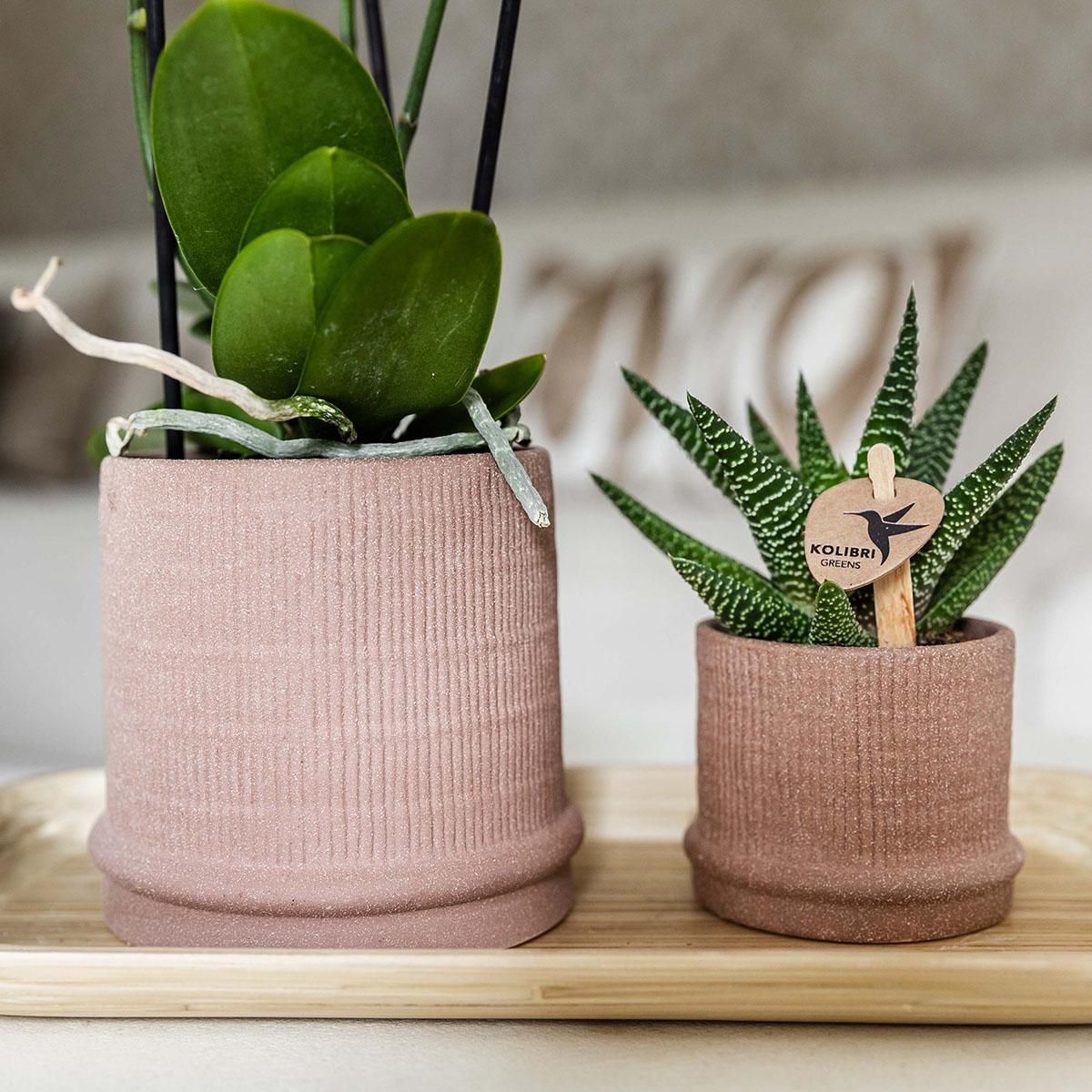 Kolibri Home | Bali sierpot - Sand - Ø9cm (8785279224044)