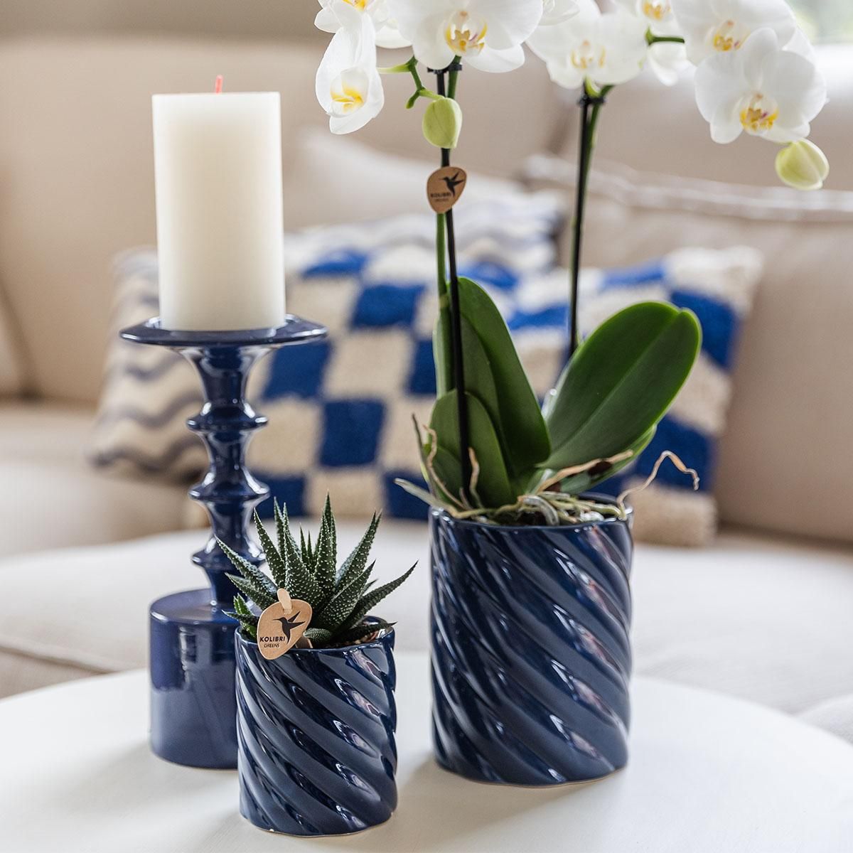Kolibri Home | Candy sierpot | Hoog - Blue - Ø9cm (8785279222958)