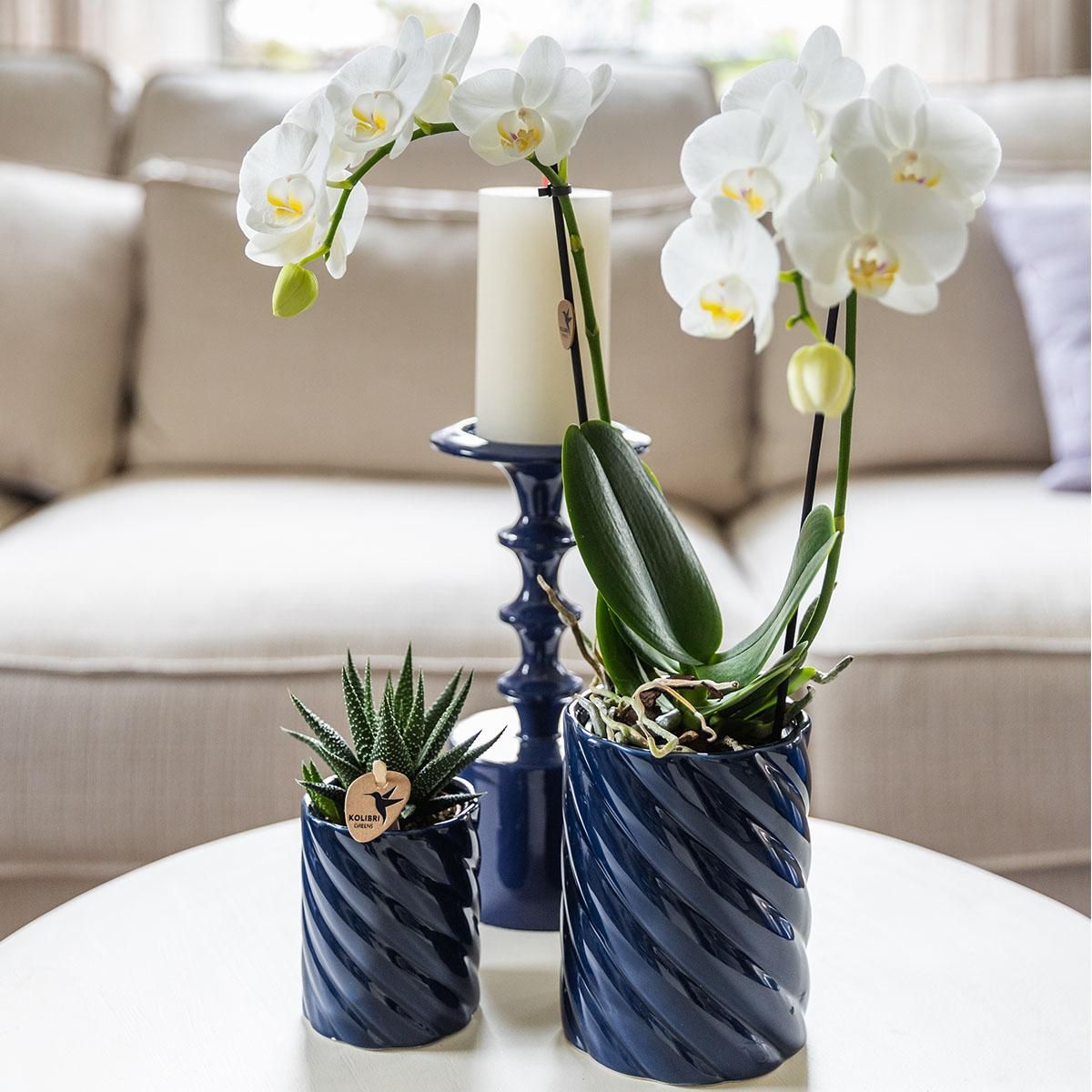 Kolibri Home | Candy sierpot | Hoog - Blue - Ø9cm (8785279222958)