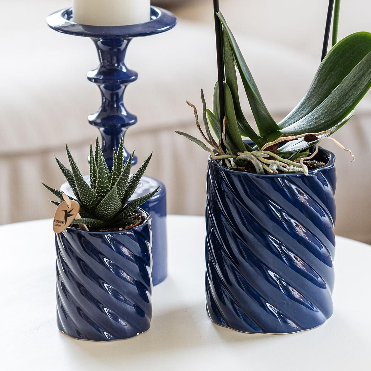 Kolibri Home | Candy sierpot | Hoog - Blue - Ø9cm (8785279222958)