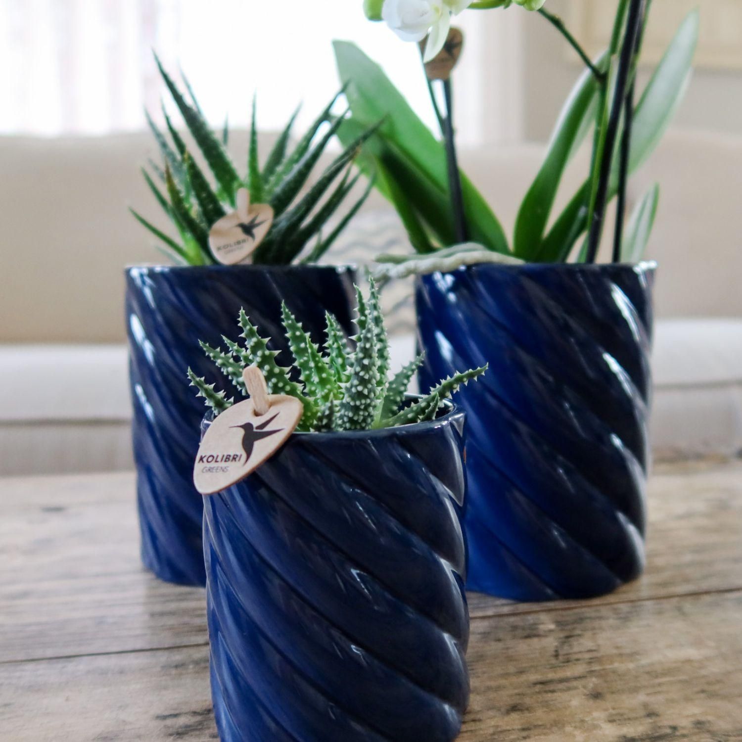 Kolibri Home | Candy sierpot | Hoog - Blue - Ø9cm (8785279222958)