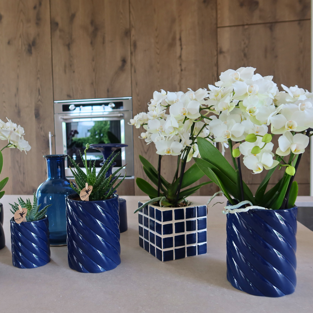 Kolibri Home | Candy sierpot | Hoog - Blue - Ø9cm (8785279222958)