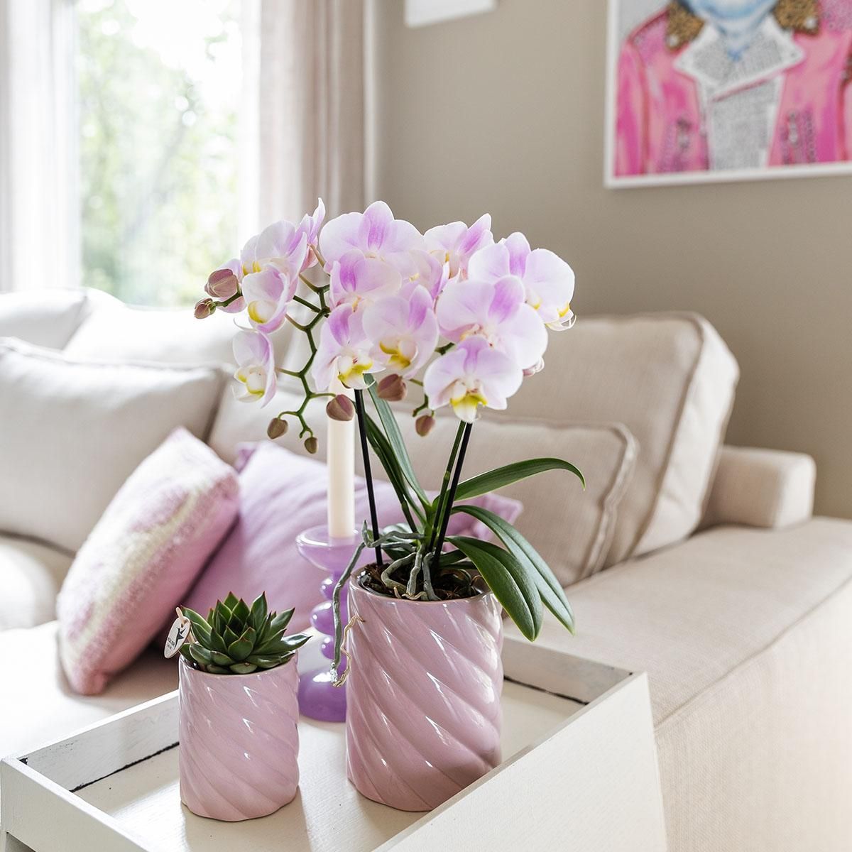 Kolibri Home | Candy sierpot | Hoog - Pink - Ø9cm (8785279222934)