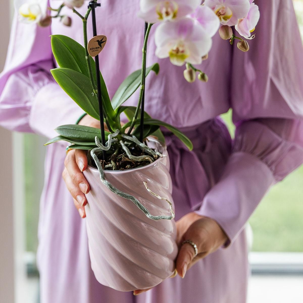 Kolibri Home | Candy sierpot | Hoog - Pink - Ø9cm (8785279222934)