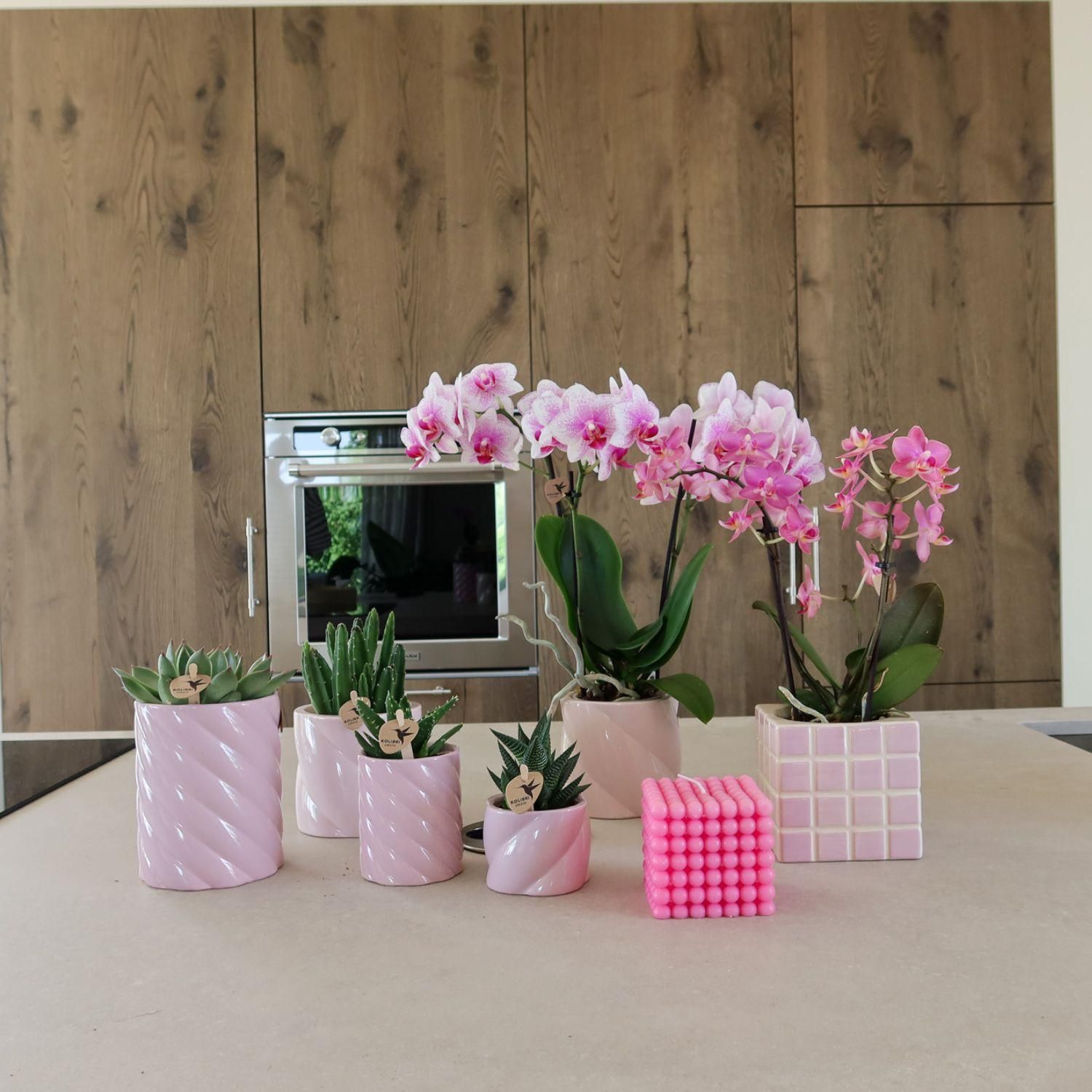 Kolibri Home | Candy sierpot | Hoog - Pink - Ø9cm (8785279222934)