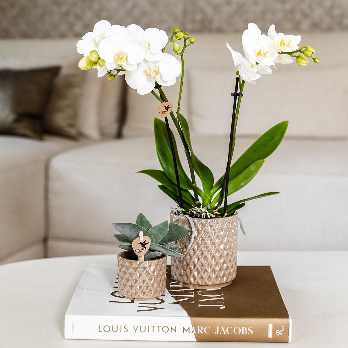 Kolibri Home | Diamond pearl sierpot - Sand - Ø9cm (8785279223238)
