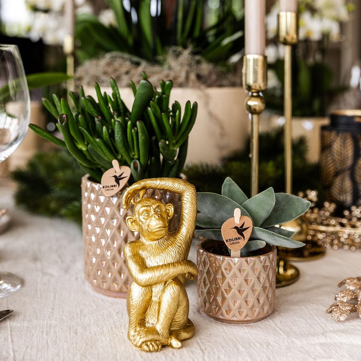 Kolibri Home | Diamond pearl sierpot - Sand - Ø9cm (8785279223238)
