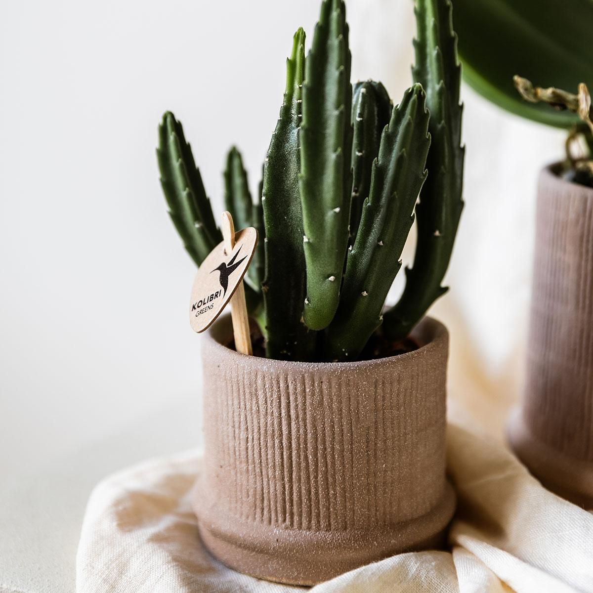 Kolibri Home | Bali sierpot - Sand - Ø6cm (8785279224051)