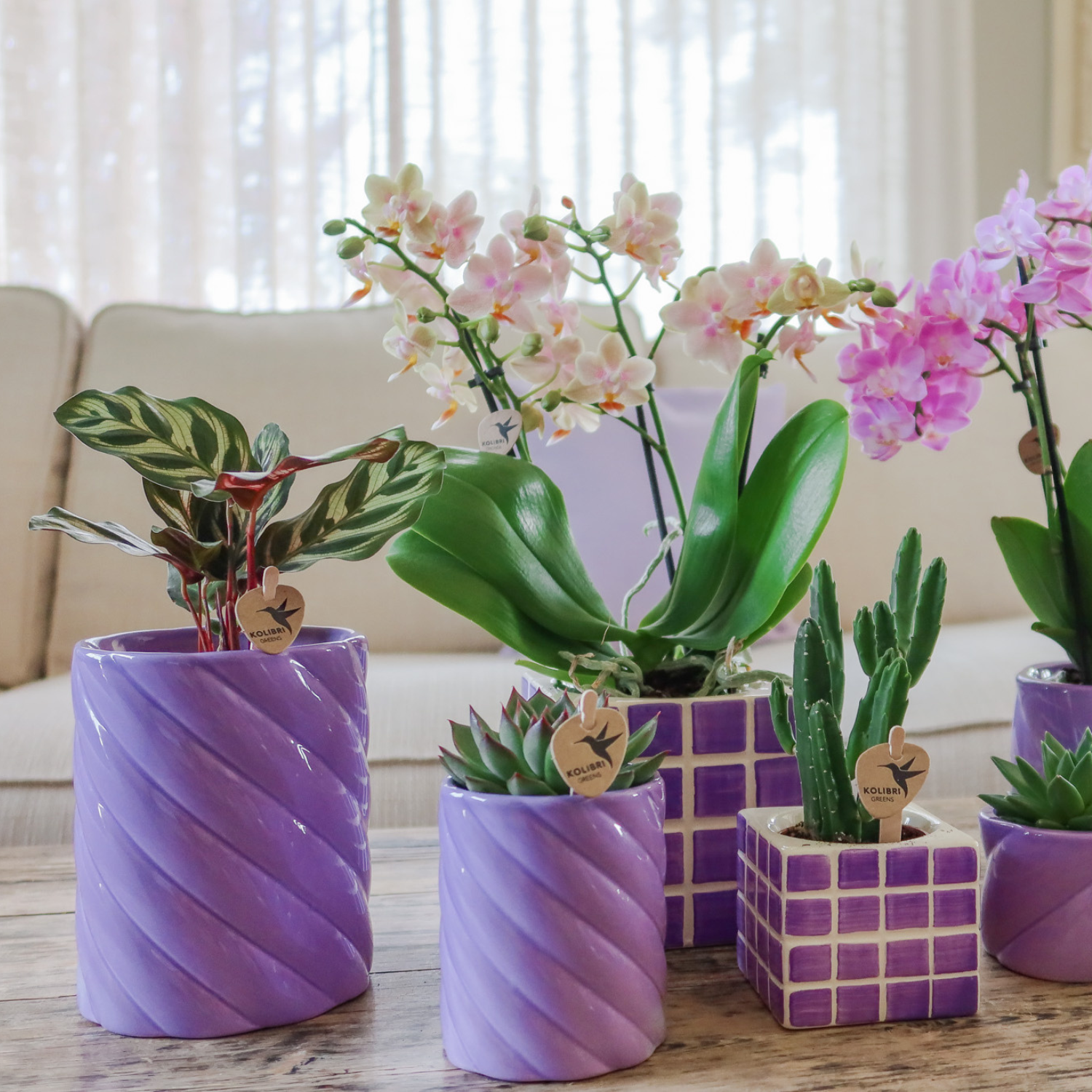 Kolibri Home | Candy sierpot | Hoog - Lilac - Ø9cm (8785279222927)